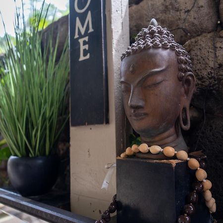Unit 18 Maui Ohana Modern Studio ワイルク エクステリア 写真