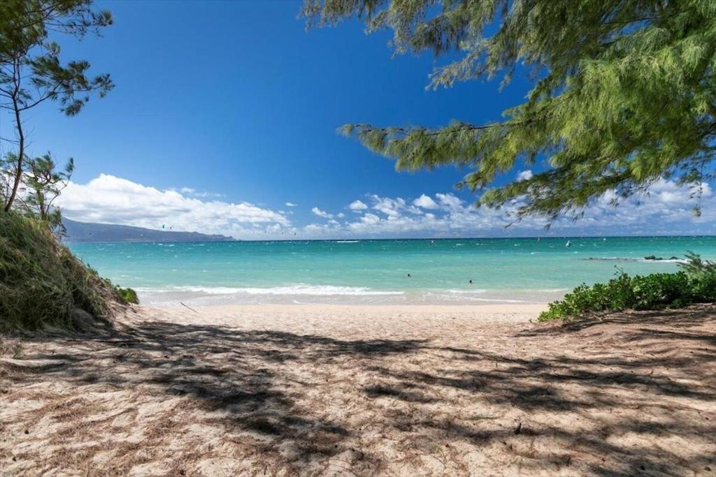 Unit 18 Maui Ohana Modern Studio ワイルク エクステリア 写真