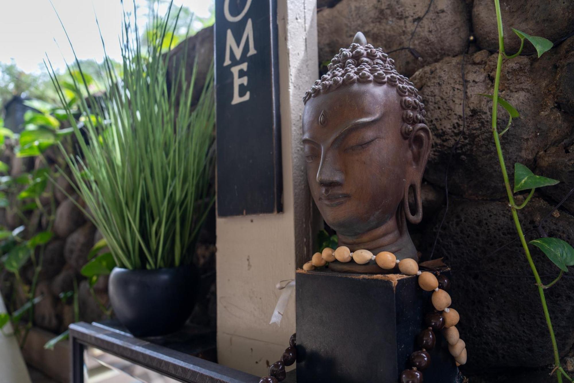 Unit 18 Maui Ohana Modern Studio ワイルク エクステリア 写真